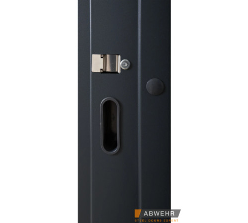 Вхідні Двері Defender (KTM) 408 Defender Glass RAL 7021Т Abwehr