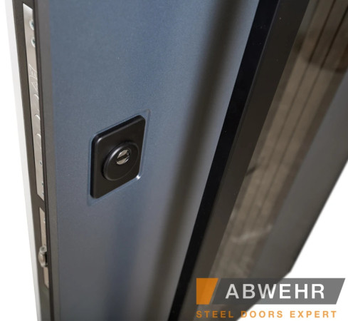 Вхідні Двері BIONICA 2 (BN2) LAMPRE (LP-5) антрацит Abwehr
