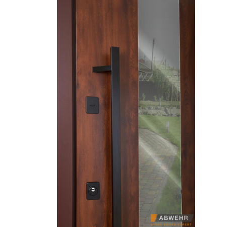 Входные Двери BIONICA 2 (BN2) LAMPRE (LP-5) дуб темный Abwehr