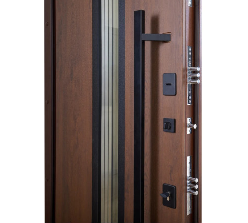 Входные Двери BIONICA 2 (BN2) LAMPRE (LP-5) дуб темный Abwehr