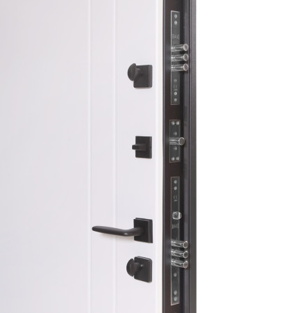 Входные Двери Коттедж 710/265 Metalic anthracite/Уличная Белый Атласный Булат