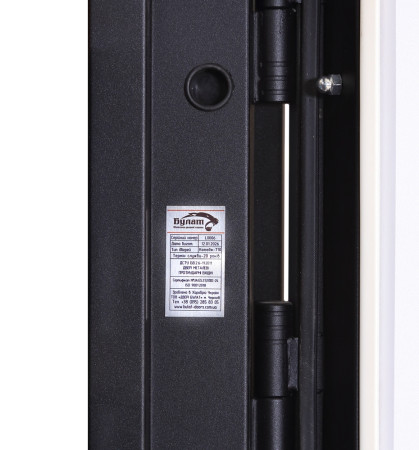 Входные Двери Коттедж 710/265 Metalic anthracite/Уличная Белый Атласный Булат