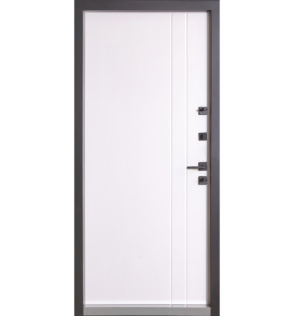 Входные Двери Коттедж 710/265 Metalic anthracite/Уличная Белый Атласный Булат