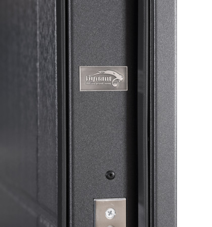 Двери Коттедж 705/431 Metalic anthracite/Уличная Антрацит серый Булат