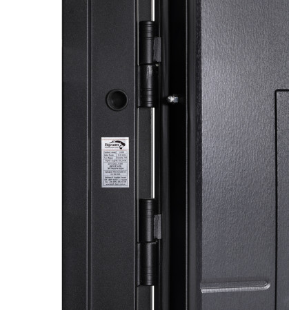 Двери Коттедж 705/431 Metalic anthracite/Уличная Антрацит серый Булат