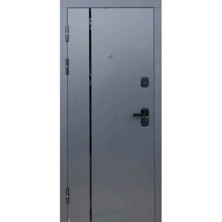 Двери Portalino STEEL DOORS SD-201 Графит матовый/Белый матовый