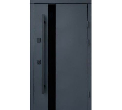 Двери Qdoors Стрит Элегант металл Антрацит 7021 краска/МДФ белое дерево Vinorit 3К