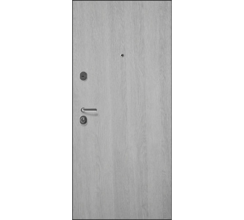 Входные Двери Bas 002 Rodos Steel