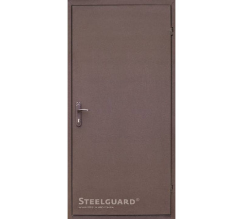 Входные Двери 161 RAL 8019 "Steelguard"