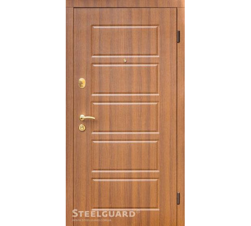 Входные Двери DG-21 Steelguard