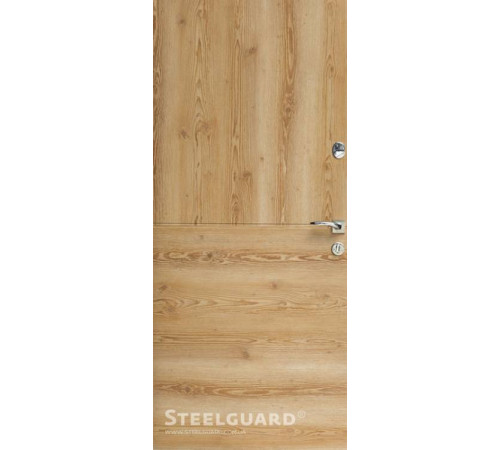 Входные Двери Vega Steelguard