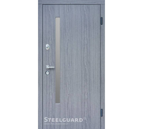 Вхідні Двері AV-1 Grey Glass Steelguard
