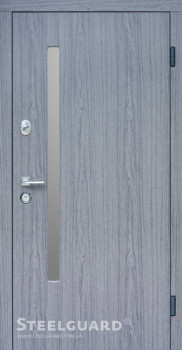 Двері AV-1 Grey Glass Steelguard