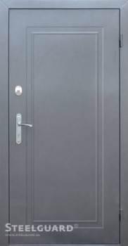 Двери DG-2 двухцветная Steelguard