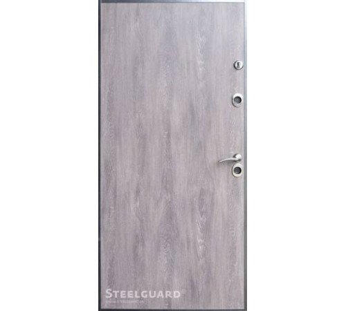 Входные Двери Termoskin двухцветная Steelguard