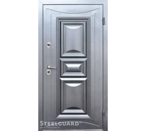 Входные Двери Termoskin двухцветная Steelguard