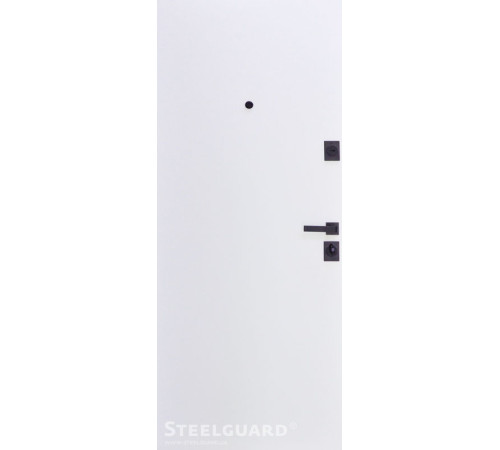 Входные Двери Remo 2 цвета "Steelguard"