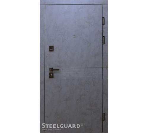 Входные Двери Remo 2 цвета "Steelguard"