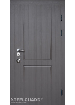 Двері Olymp 2 цвета Steelguard