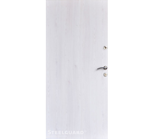 Входные Двери Torre 2 цвета Steelguard