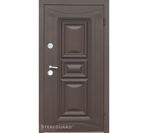 Входные Двери Termoskin Light 2 цвета Steelguard
