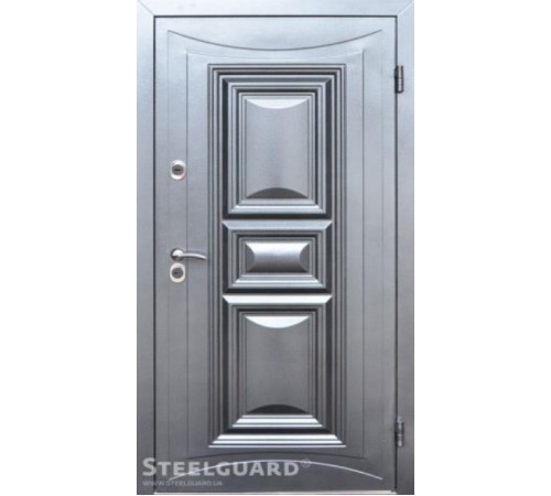 Входные Двери Termoskin Light 2 цвета Steelguard