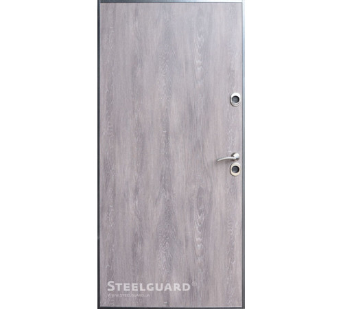 Входные Двери Termoskin Light 2 цвета Steelguard
