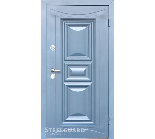 Входные Двери Termoskin Light 2 цвета Steelguard
