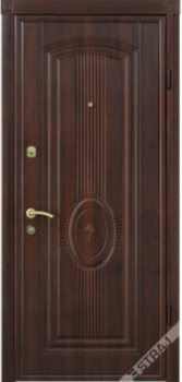 Двери R56 Страж