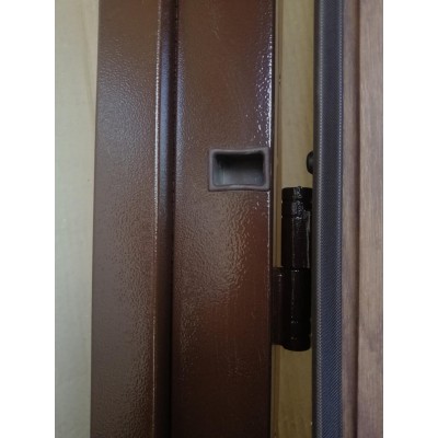 Вхідні Двері Світанок Vinorit з ковкою та терморозривом Redfort-1