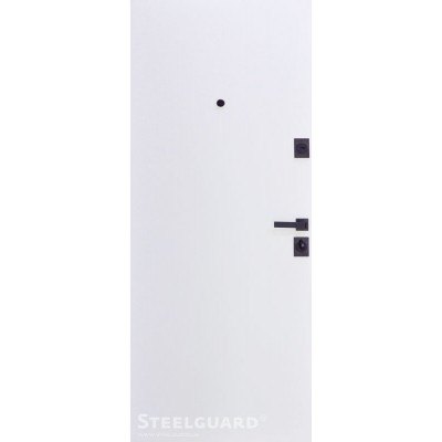 Входные Двери Remo 2 цвета "Steelguard"-1