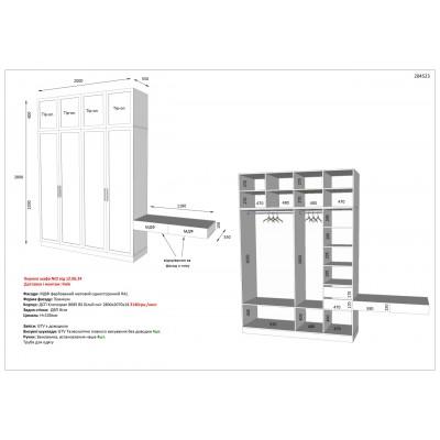Вариант Шкафа распашного №29 12.06.2024-1