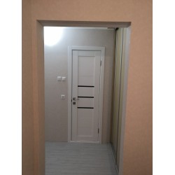 Двері Model 06 Оміс