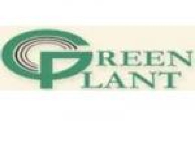 Фабрика дверей Green Plant