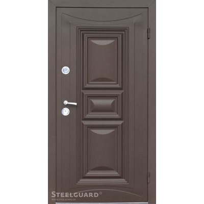Вхідні Двері Termoskin Light 2 кольори Steelguard-1