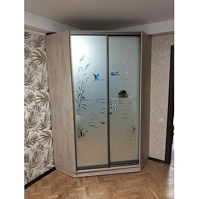 Мебель Шкаф-купе №35 01.12.2024-1