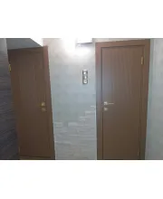 Межкомнатные Двери Dooris Form FR07 Краска