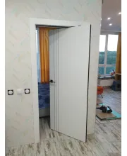 Межкомнатные Двери Omega Lines L7 Краска