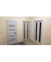 Міжкімнатні Двері Darumi Doors Versal дуб ольс Чорне скло Ламінатин