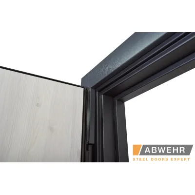 Вхідні Двері TERMIX (з терморозривом) Tower 527 Abwehr-2