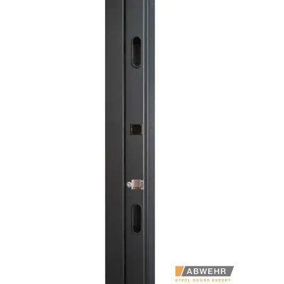 Вхідні Двері TERMIX (з терморозривом) Tower 527 Abwehr-6