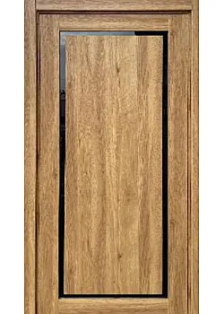 Двери Colori Glass BLK "Allegro"