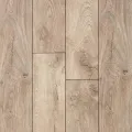 Terra