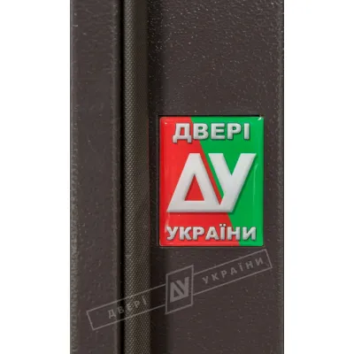 Входные Двери Салют м/м RAL 8019 SL04 Двери Украины-4