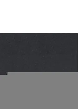 Линолеум Tarkett iQ NATURAL - Natural BLACK 0081