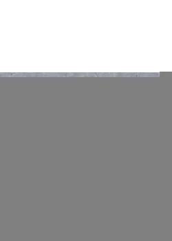 Линолеум Tarkett VENETO xf²™ (2.5 mm) - Veneto HORIZON 663