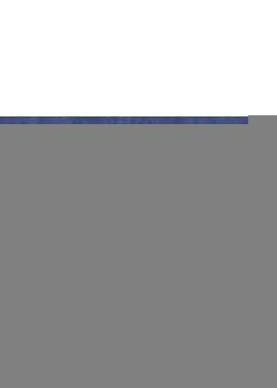 Линолеум Tarkett VENETO xf²™ (2.5 mm) - Veneto NAVY 688