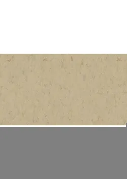 Линолеум Tarkett VENETO xf²™ (2.5 mm) - Veneto SISAL 611