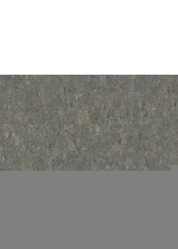 Линолеум Tarkett VENETO xf²™ (2.5 mm) - Veneto SMOKE 608