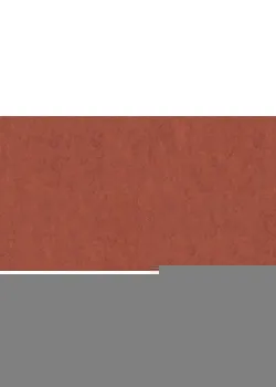 Линолеум Tarkett VENETO xf²™ (2.5 mm) - Veneto TERRACOTTA 641